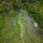 Pemandangan udara memperlihatkan perbatasan antara tutupan hutan hujan tropis alami Indonesia dan area pembukaan lahan yang kian meluas ke dalam kawasan konservasi.