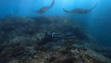 Seorang penyelam mengamati ekosistem terumbu karang yang sehat dan penuh warna di perairan Indonesia, menjadi pengingat pentingnya menjaga kelestarian laut lewat gaya hidup ramah lingkungan.