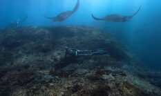 Menjaga Surga Bawah Laut Indonesia Lewat Gaya Hidup Ramah Terumbu Karang