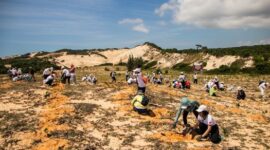 Relawan dan masyarakat lokal bekerja sama menanam bibit pohon endemik di kawasan restorasi hutan Kalimantan. Upaya pemulihan ekosistem ini bertujuan mengembalikan habitat alami satwa langka sekaligus memperkuat fungsi penyerapan karbon tanah.