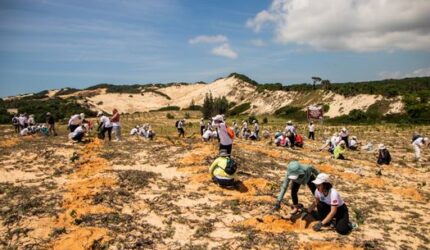 Menghirup Kembali Napas Hutan Indonesia Melalui Tren Restorasi Ekosistem Berbasis Komunitas