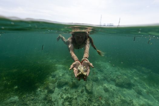 foto slider headline
