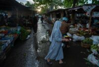 Seorang petani memeriksa buah kopi yang mengering di perkebunan akibat cuaca panas ekstrem dan pola curah hujan yang tak menentu. Perubahan cuaca mengancam hasil panen komoditas unggulan Indonesia serta memicu pergeseran tren gaya hidup masyarakat.