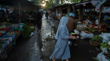 Seorang petani memeriksa buah kopi yang mengering di perkebunan akibat cuaca panas ekstrem dan pola curah hujan yang tak menentu. Perubahan cuaca mengancam hasil panen komoditas unggulan Indonesia serta memicu pergeseran tren gaya hidup masyarakat.