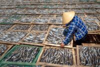Seorang nelayan tradisional di pesisir Indonesia menggunakan metode pancing ulur yang ramah lingkungan untuk menjaga kelestarian terumbu karang dan populasi ikan lokal.