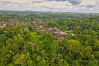 Pemandangan udara yang memperlihatkan deforestasi pada kawasan hutan hujan tropis di Indonesia. Alih fungsi lahan mengancam keseimbangan ekosistem dan keanekaragaman hayati pedalaman.