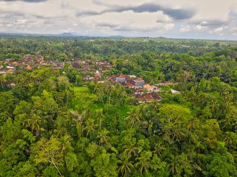 Pemandangan udara yang memperlihatkan deforestasi pada kawasan hutan hujan tropis di Indonesia. Alih fungsi lahan mengancam keseimbangan ekosistem dan keanekaragaman hayati pedalaman.