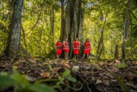 Masyarakat adat di pelosok Nusantara secara konsisten merawat hutan ulayat mereka dengan prinsip kelestarian yang menjamin ketersediaan air dan pangan alami bagi generasi mendatang.