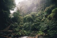 Masyarakat adat menyusuri kawasan hutan tutupan yang dirawat secara turun-temurun sebagai penyangga ekosistem dan penyerap karbon alami Indonesia.