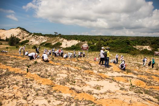 Aksi relawan muda saat menanam bibit bakau di area pesisir sebagai bentuk kepedulian terhadap kelestarian ekosistem pantai dan pencegahan abrasi laut.