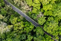 Pemandangan tajuk hutan hujan tropis Nusantara yang lebat dan terjaga kelestariannya dari udara. Pengendalian deforestasi membutuhkan keterlibatan aktif masyarakat dalam memilih gaya hidup ramah lingkungan.