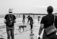 Aksi relawan saat menanam bibit bakau di kawasan pesisir untuk mencegah abrasi pantai sekaligus memulihkan ekosistem laut. Aktivitas ramah lingkungan ini kian diminati masyarakat urban sebagai bentuk liburan akhir pekan yang berdampak positif bagi alam.