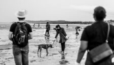 Aksi relawan saat menanam bibit bakau di kawasan pesisir untuk mencegah abrasi pantai sekaligus memulihkan ekosistem laut. Aktivitas ramah lingkungan ini kian diminati masyarakat urban sebagai bentuk liburan akhir pekan yang berdampak positif bagi alam.