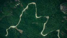 Pemandangan udara hamparan kanopi hutan tropis Indonesia yang berfungsi sebagai benteng pertahanan alami iklim global sekaligus rumah bagi keanekaragaman hayati Nusantara.